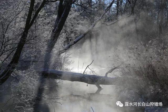 通过音乐之路2