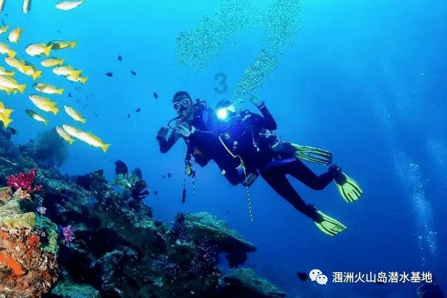 白喵睡觉露出可爱笑脸萌到翻,往侧面一看:上辈子难道是毛毛虫?