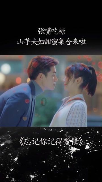 动物狂欢夜