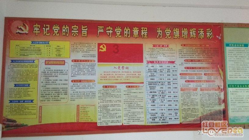 辐射避难所