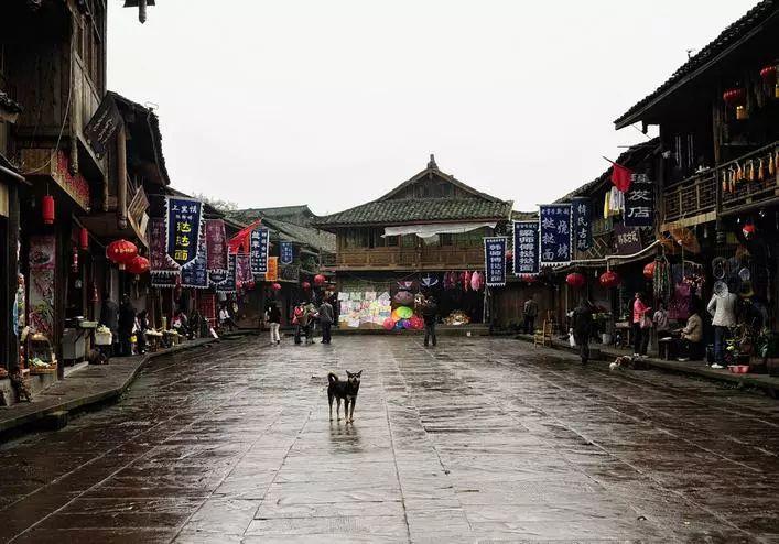 俄罗斯人如何看待中国电影:只看成龙的功夫片和在欧洲获奖的电影