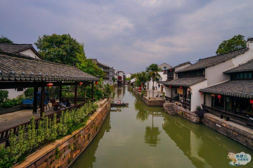 二哈刚进新家就狂挖洞,主人差点吓尿:挖槽!这狗救了整个小区的命啊!