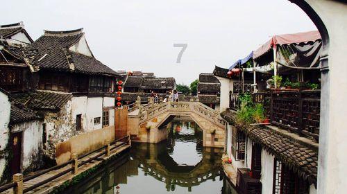 国王的坐骑