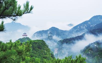 去赶集啦!下周这场年货集市,很象山!